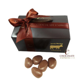 Dark Chocolate Brazil Nuts Medium