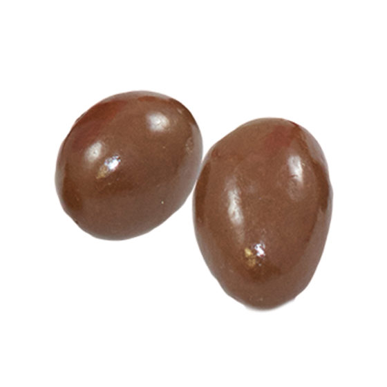 Dark Chocolate Brazil Nuts Medium